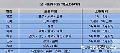 四川洋葱价格最新行情,四川洋葱价格最新行情分析