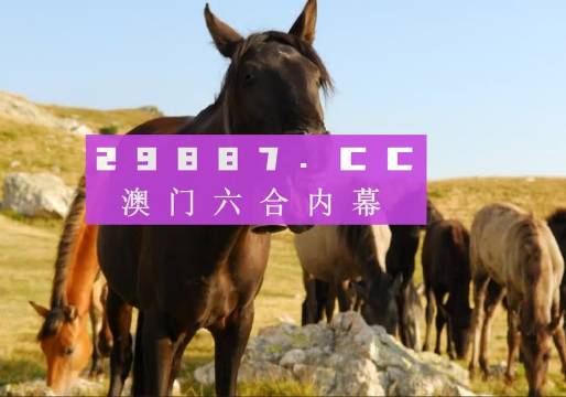 生龙活虎 第5页