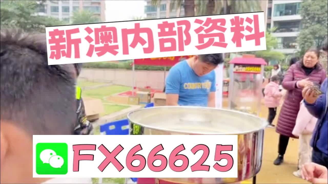 新澳天天开奖资料大全1052期,新澳天天开奖资料大全第1052期详解