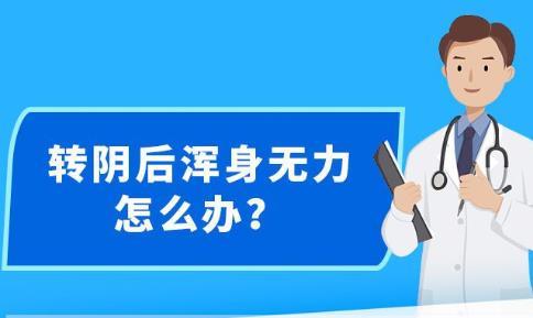 2024新澳精准资料免费提供下载,关于新澳精准资料的探讨与分享，免费下载与利用之路