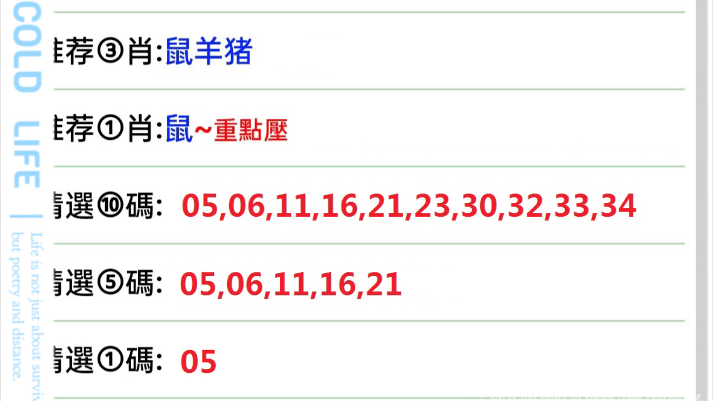 2025年1月7日 第55页