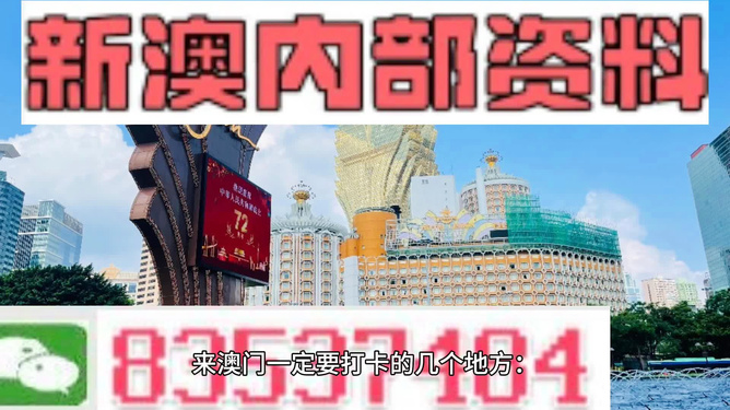 2024新澳免费资料澳门钱庄,探索澳门钱庄，新澳免费资料的深度解析（2024年展望）