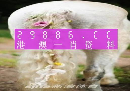 龙行虎步 第3页