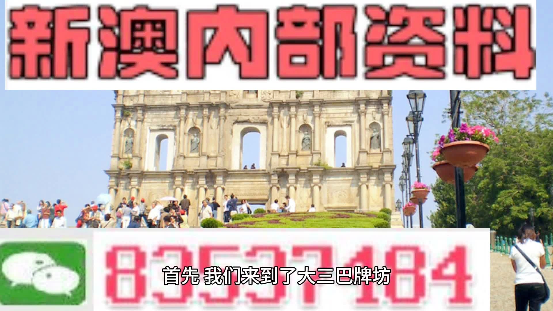 2024新澳门正版免费资料,探索新澳门正版免费资料的未来——以2024年为视角