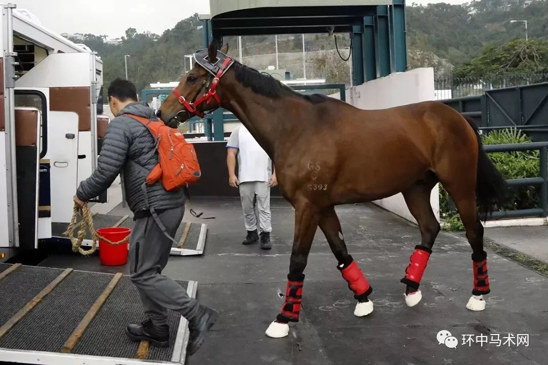 香港马买马网站www,香港马买马网站——探索赛马产业的领先平台