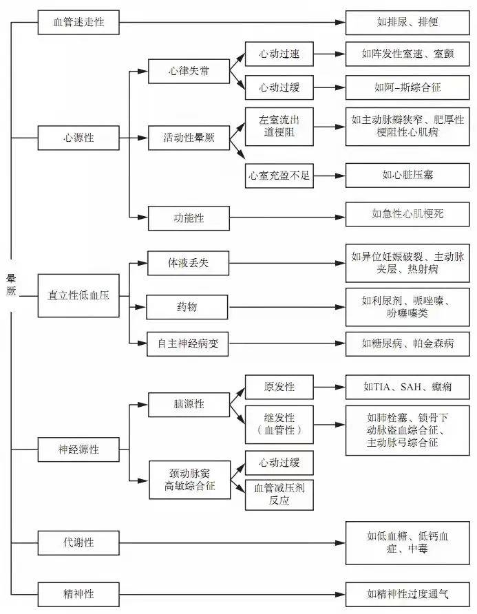 7777788888王中王中特,探索数字背后的秘密，王中王中特与数字77777与数字88888的奇妙结合