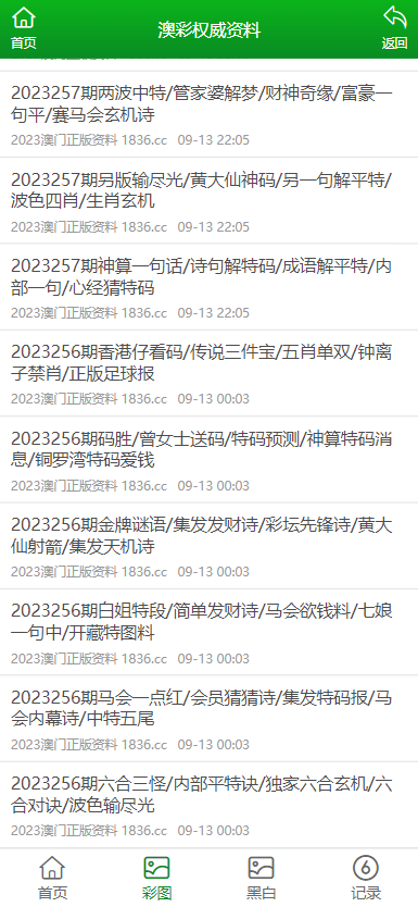 2023澳门正版全年免费资料,澳门正版全年免费资料，探索与启示